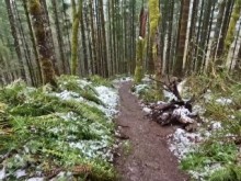 Caminata con Mike POV en King's Mountain Trail