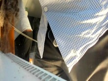 Cualquier componente de este tipo