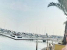 Maca en una sesión de fotos en la playa en 2025