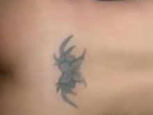 Dar a mi esposo a cuatro patas