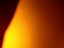 simplemente desnudo otra vez