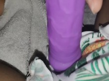 Moja mis pantalones cortos