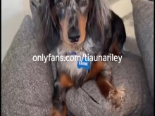 ¡La filtración de un adolescente provoca un caos en vivo!