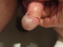 Orino y acaricio mi idiota.