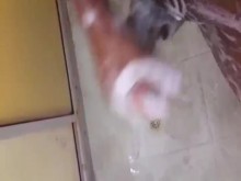 La hija de Al-Batrouna tiembla en sus zapatos, en la cara de Maha y aplaude por la abundancia del zakat ????????????