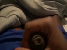 ribete de polla negra