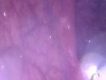 CAM DENTRO DEL CULO: Las bolas desaparecieron en lo profundo de mi agujero ⚽⛓ - Vista previa