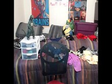 6cam.biz amateur alexxxcoal Follando en la webcam en vivo