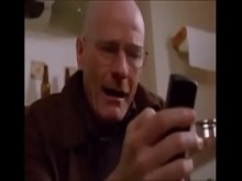 walter blanco y gato