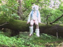 El gato era travieso en el bosque.