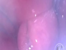 POV del Batidor abriendo mi Culo desde adentro - Vista previa