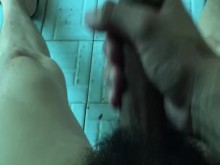 La masturbación llena el pene erecto de la jungla.