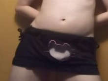 El gatito de ARI