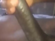 Polla negra bombeada