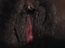 Compilación 10 Milf Peludas ♡¿♡