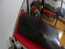 Sesión completa de Vacbed - Vacbed con guantes