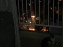 A ella le encanta chupar la polla y correrse en su cara